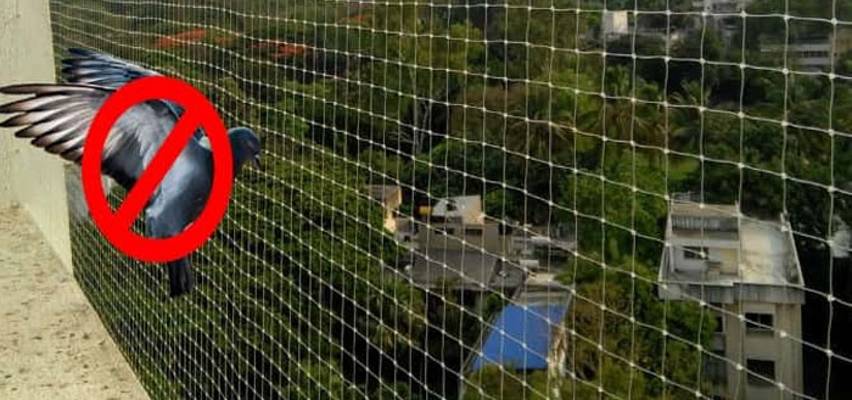 Anti Bird Netting Service Dealers in Kerala | Bird Safety Nets Fixing